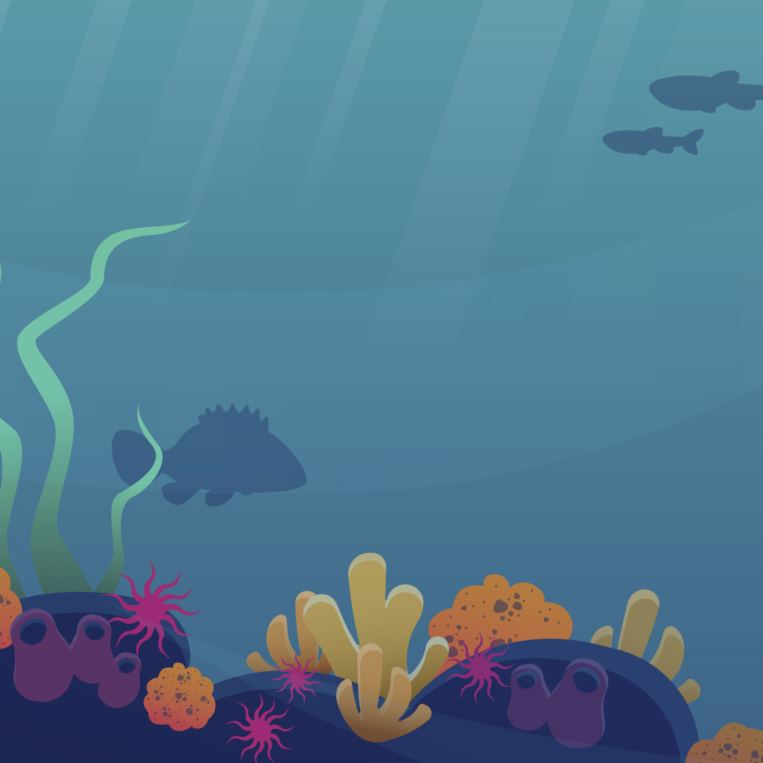 Deep Divers, Digital Assets for Animation