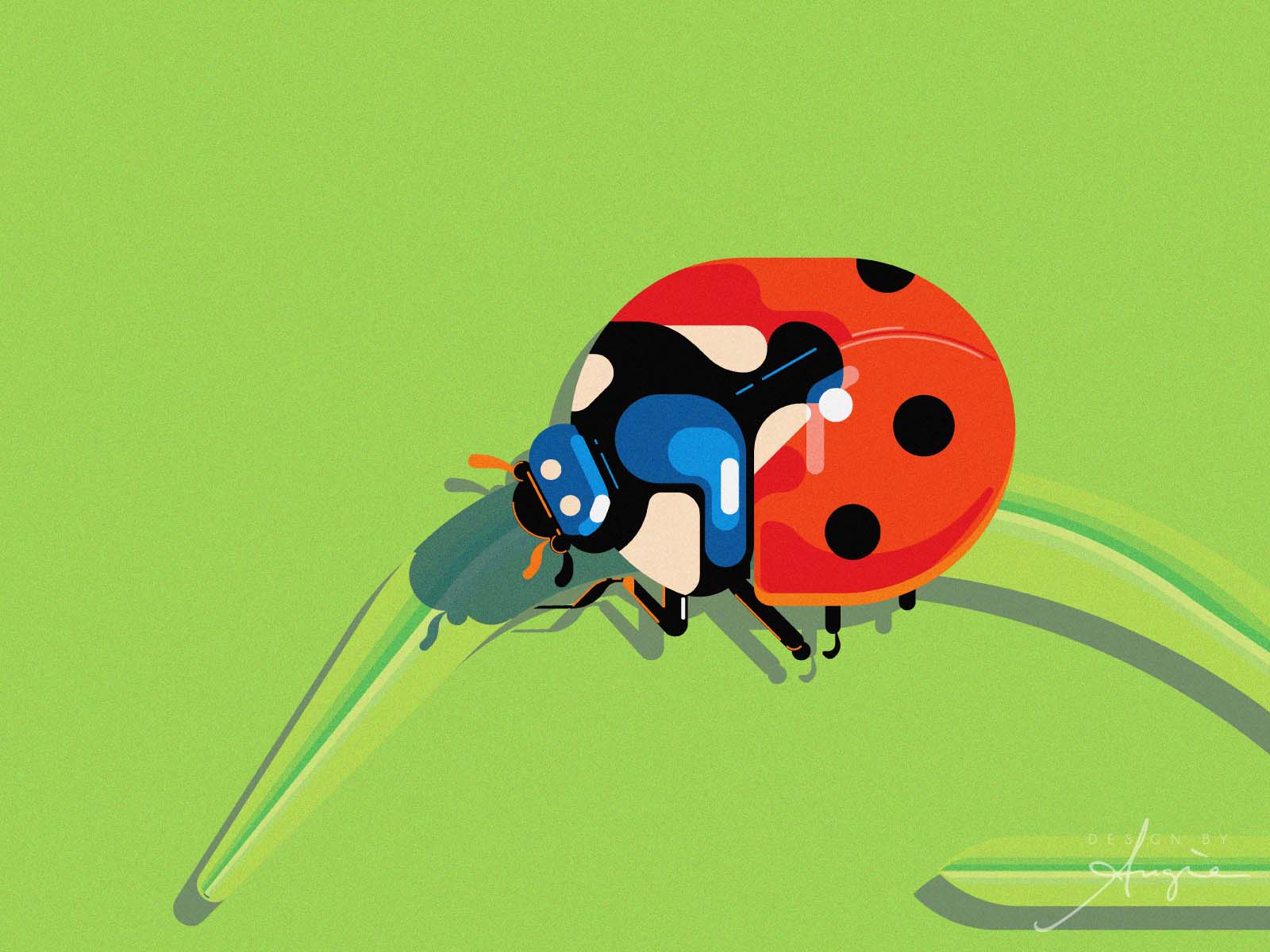 Ladybug - The Animals Collection
